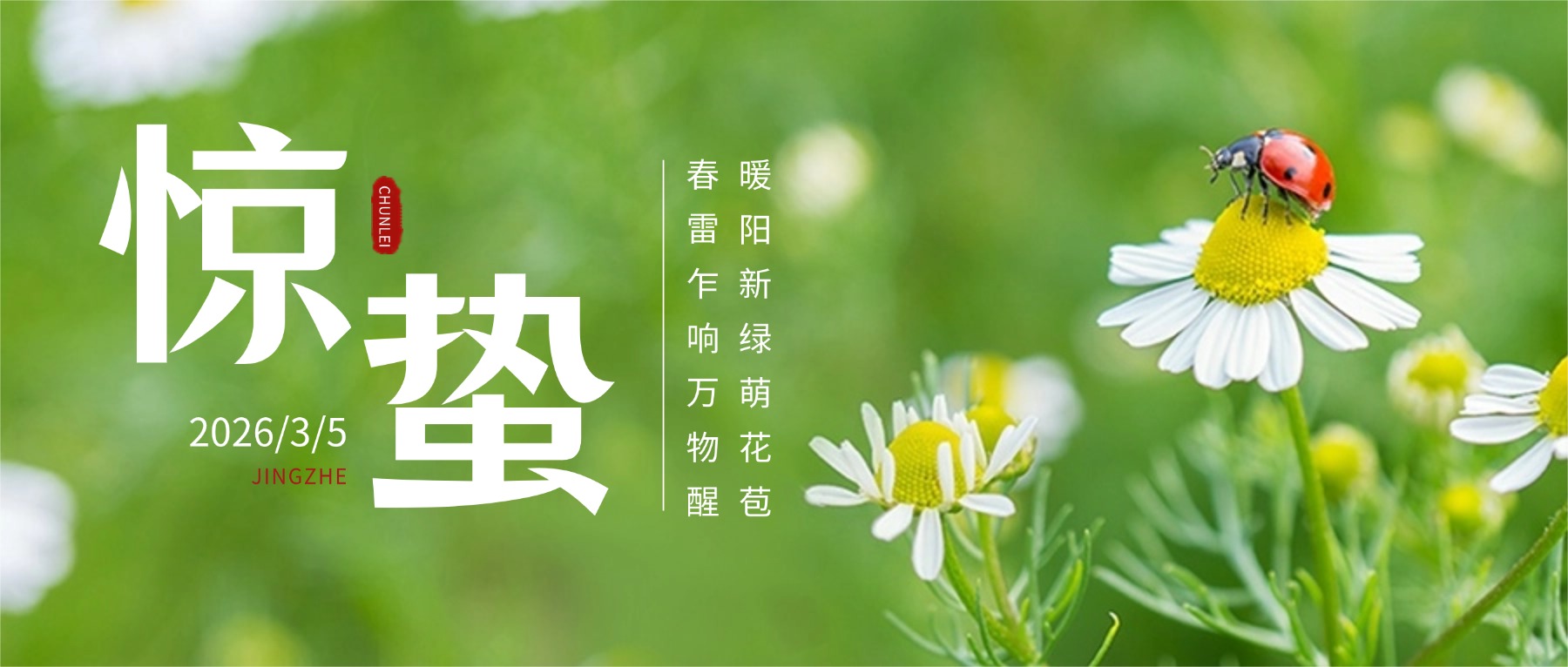 惊蛰至，春风暖，万物向新而生